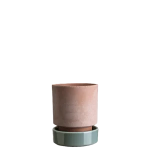 Hoff Rosa/Misty Blue Ø14 set