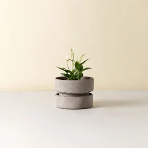 The Hoff Low Pot - Urtepotte - Raw Grey