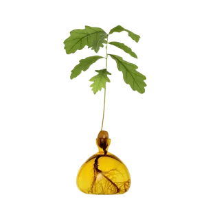 Agern Vase - Mellow Yellow