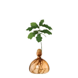 Agern Vase - Sweet Apricot